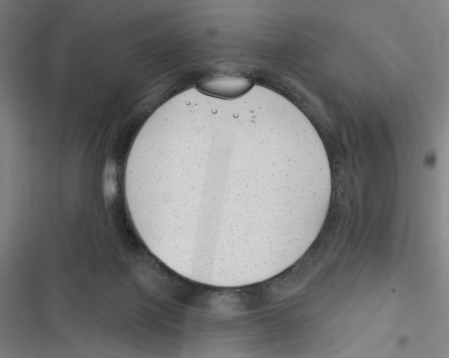 X0000116670075201001111319