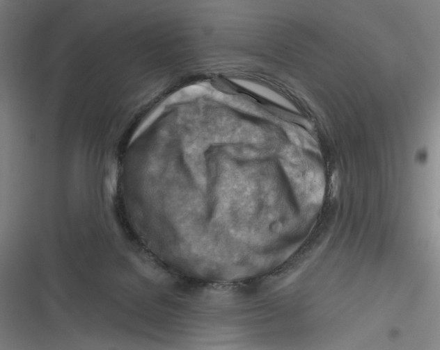 X0000116670076201001111320