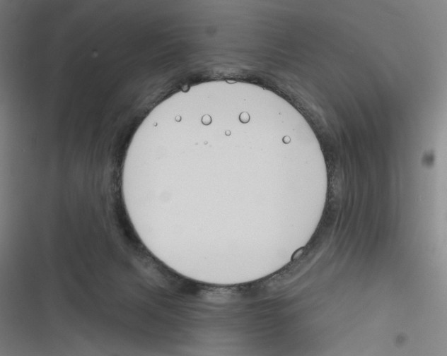 X0000116670079201001111320