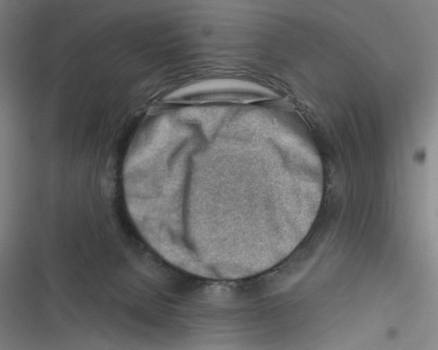 X0000116670080201001111320