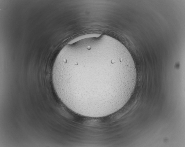 X0000116670081201001111320