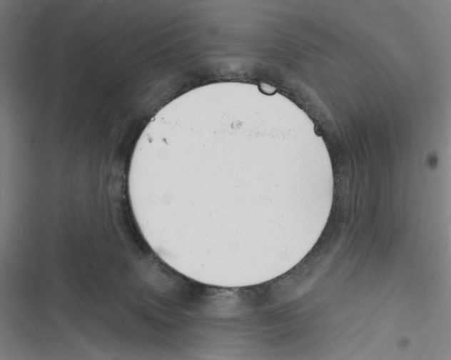 X0000116670083201001111320