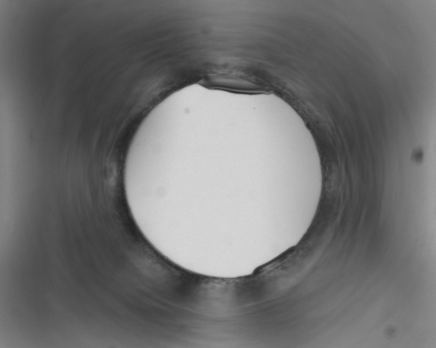 X0000116670084201001111320