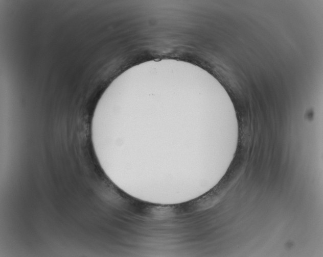 X0000116670085201001111320