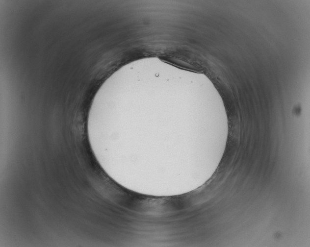 X0000116670086201001111320