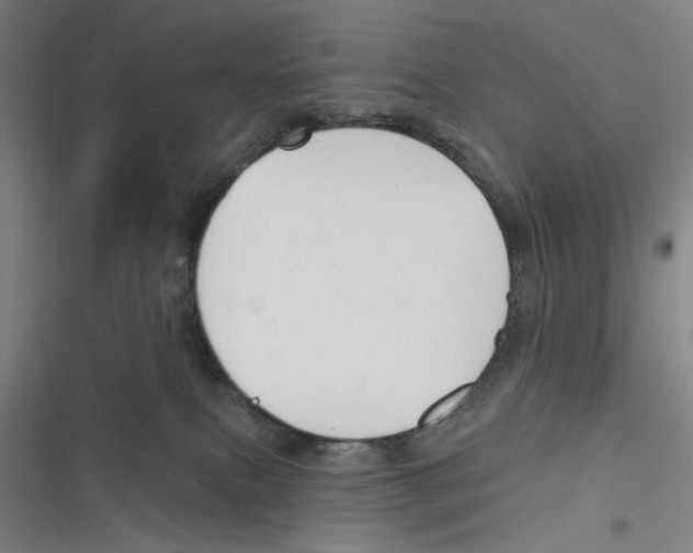 X0000116670087201001111320