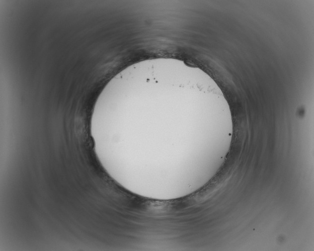 X0000116670088201001111320