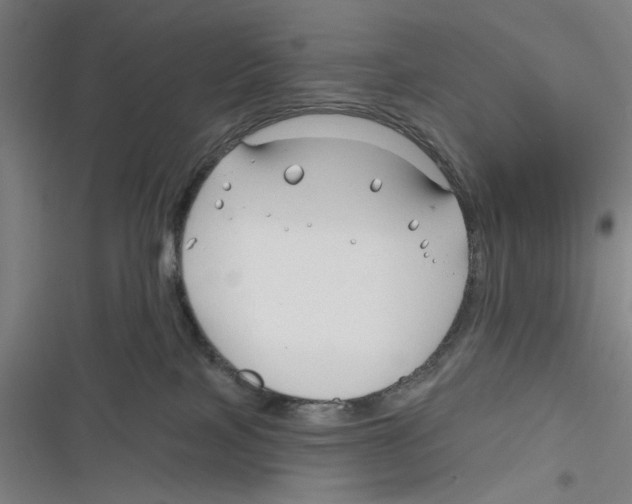 X0000116670089201001111320