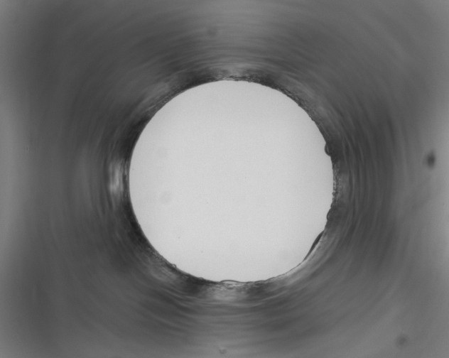X0000116670094201001111320