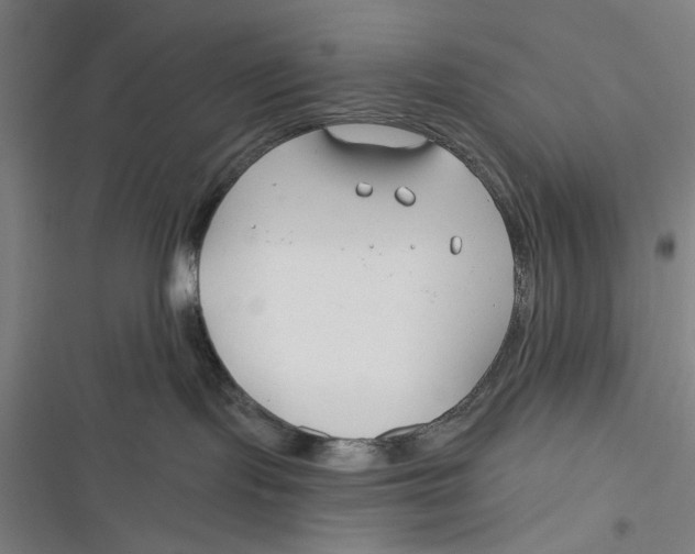 X0000116670095201001111320