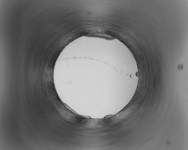 X0000116670096201001111320