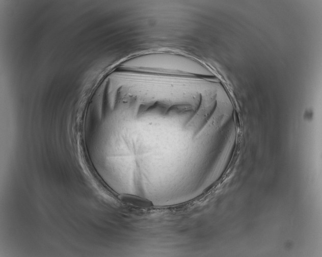 X0000116670097201001111319