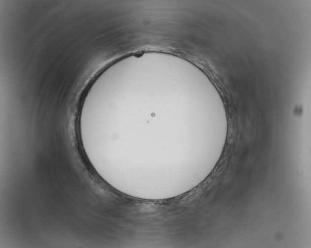 X0000116670098201001111319