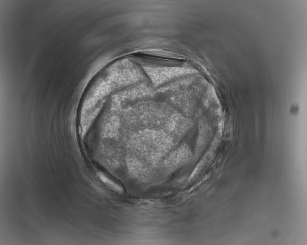 X0000116670099201001111319
