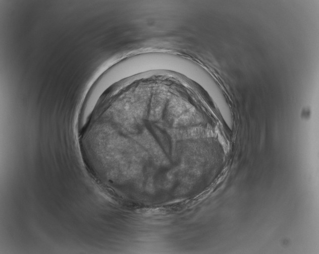 X0000116670100201001111319