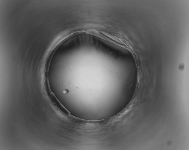 X0000116670101201001111319