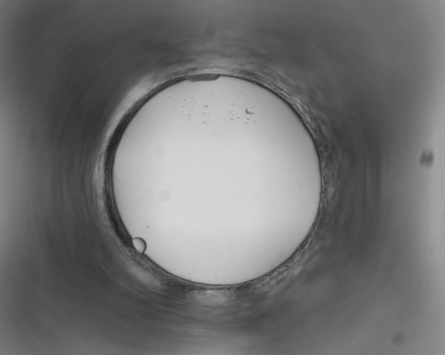 X0000116670102201001111319