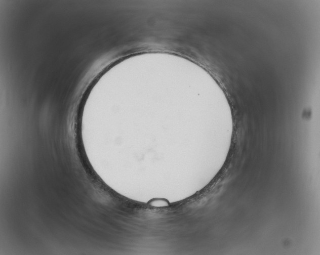 X0000116670103201001111319