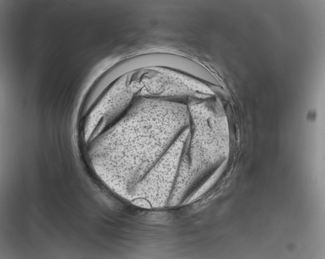 X0000116670104201001111319
