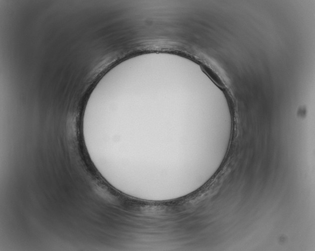 X0000116670105201001111319