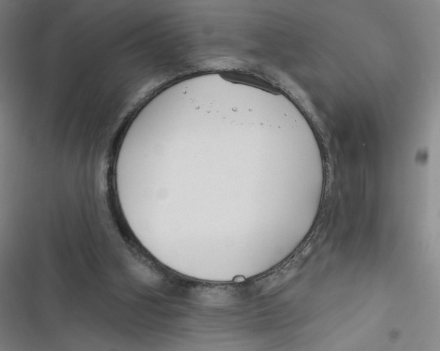 X0000116670106201001111319