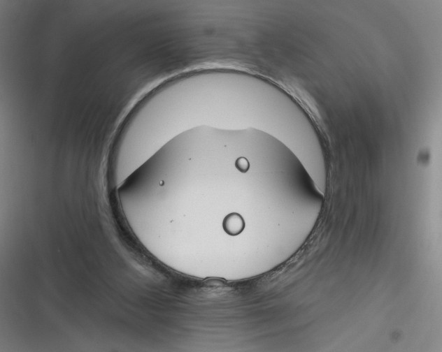 X0000116670108201001111319