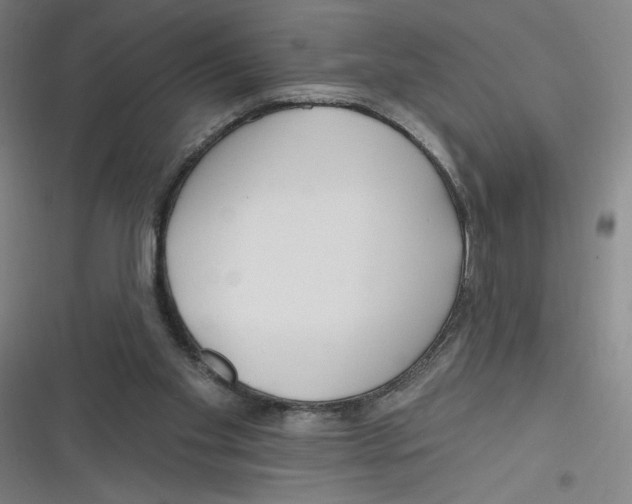 X0000116670109201001111319