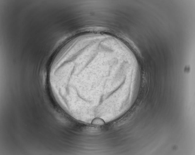 X0000116670110201001111319