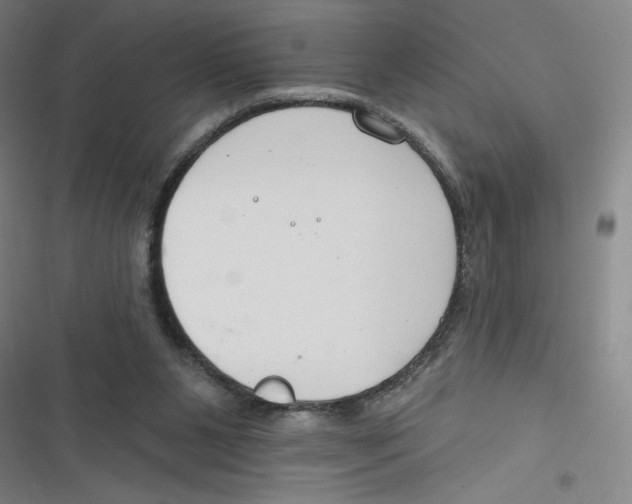 X0000116670111201001111319