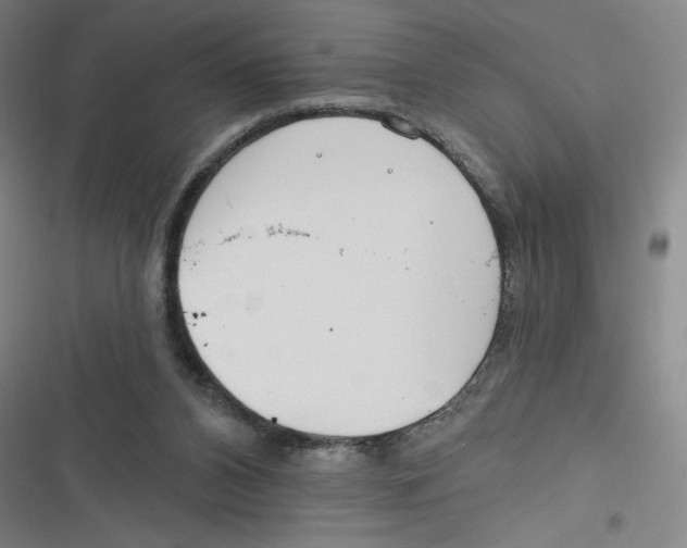 X0000116670112201001111319