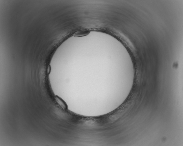X0000116670113201001111319