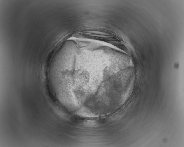 X0000116670114201001111319
