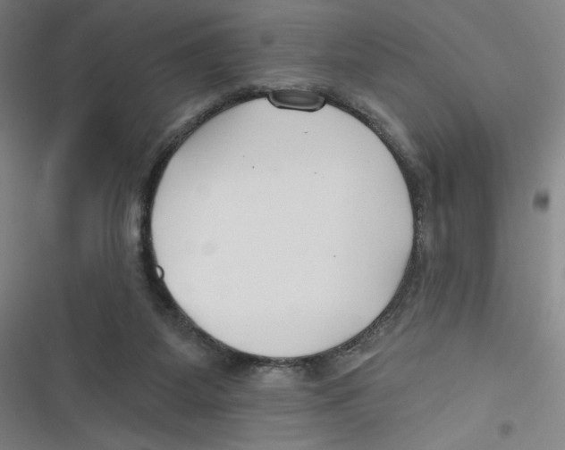 X0000116670115201001111319