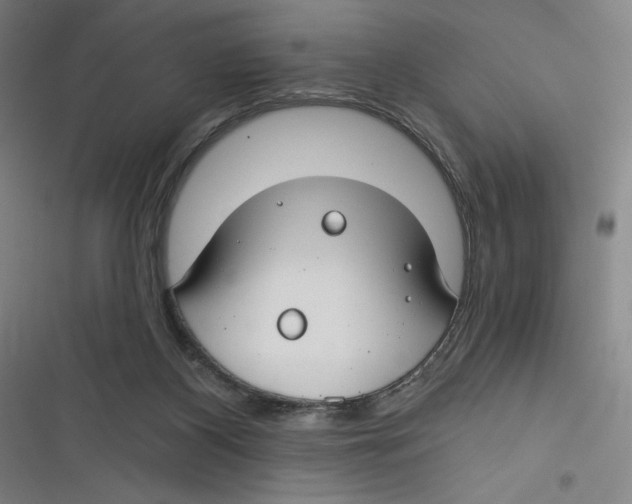 X0000116670116201001111319