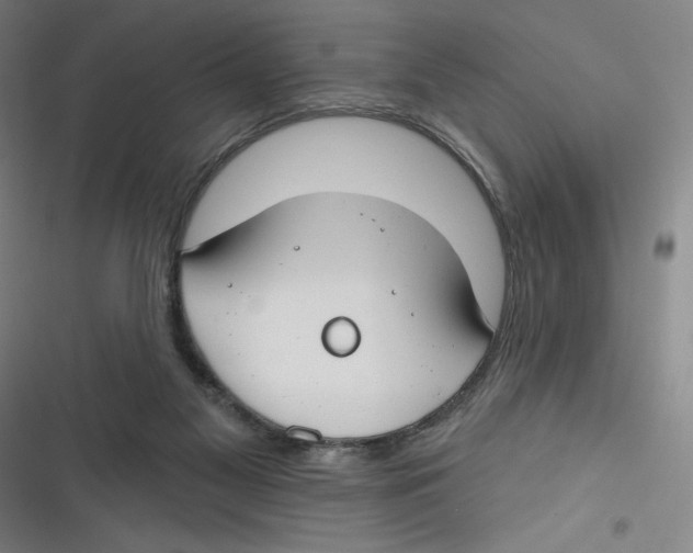 X0000116670117201001111319