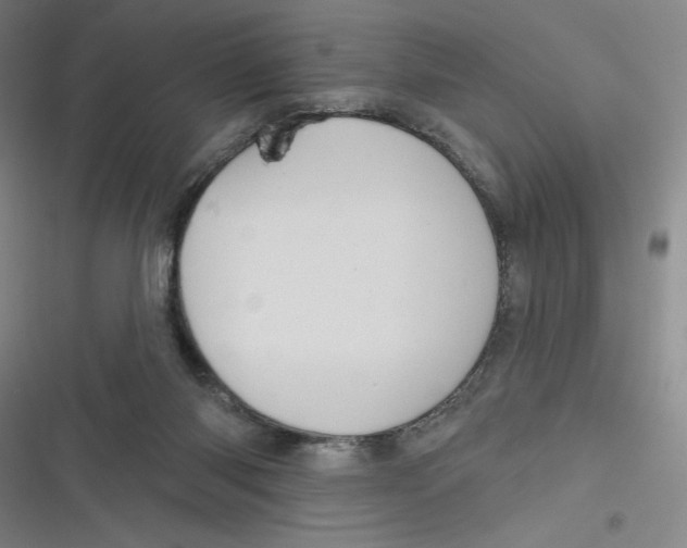 X0000116670118201001111319