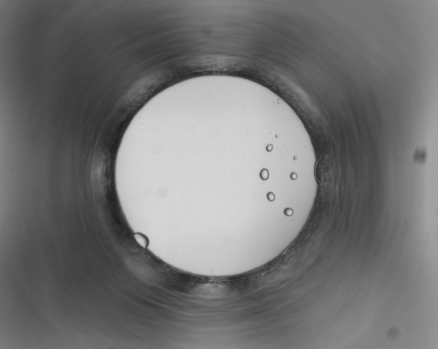 X0000116670119201001111319