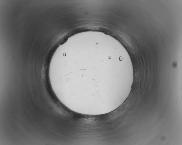X0000116670120201001111319
