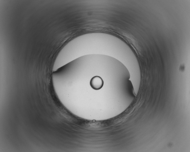 X0000116670121201001111319