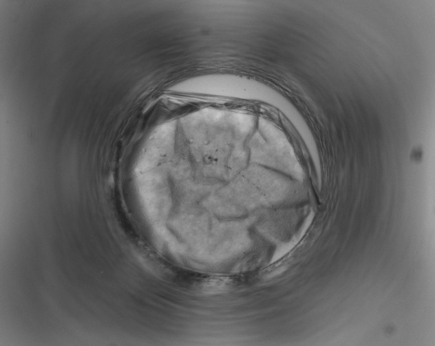 X0000116670124201001111319