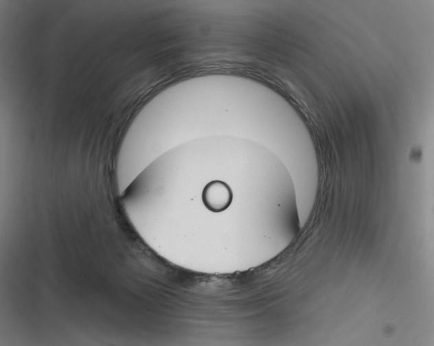 X0000116670125201001111319