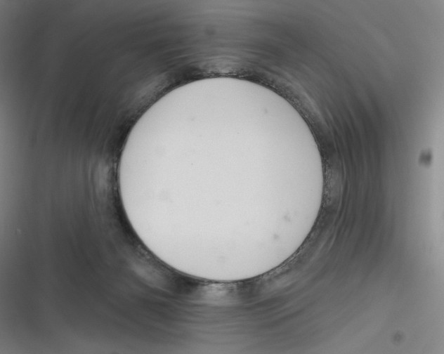 X0000116670126201001111319