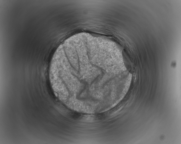 X0000116670127201001111319