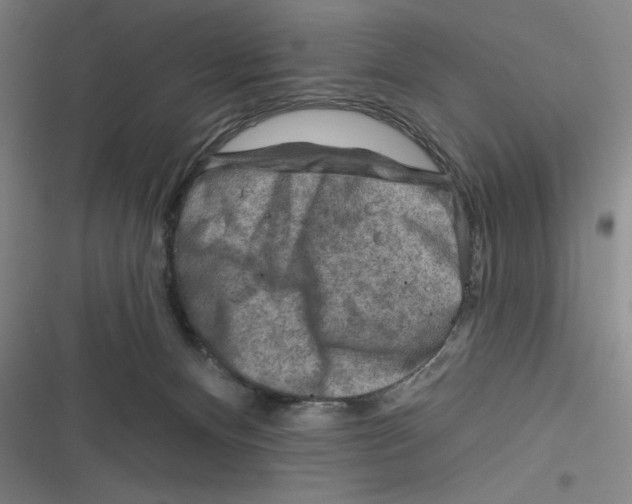 X0000116670128201001111319