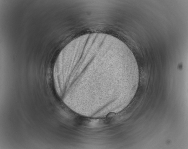 X0000116670130201001111319