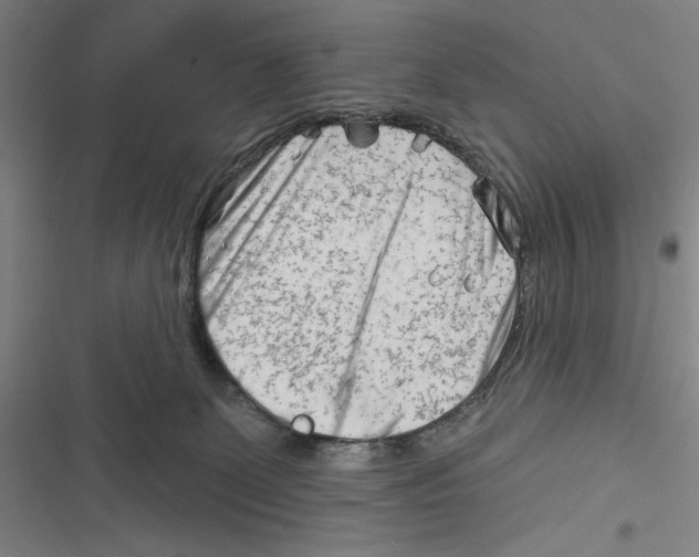 X0000116670131201001111319