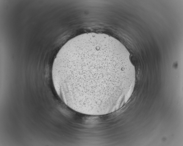 X0000116670132201001111319