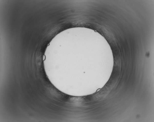 X0000116670133201001111319