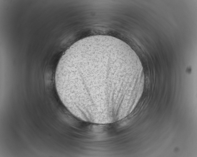 X0000116670134201001111319