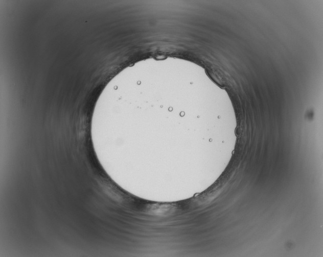 X0000116670135201001111319